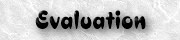 Evaluation